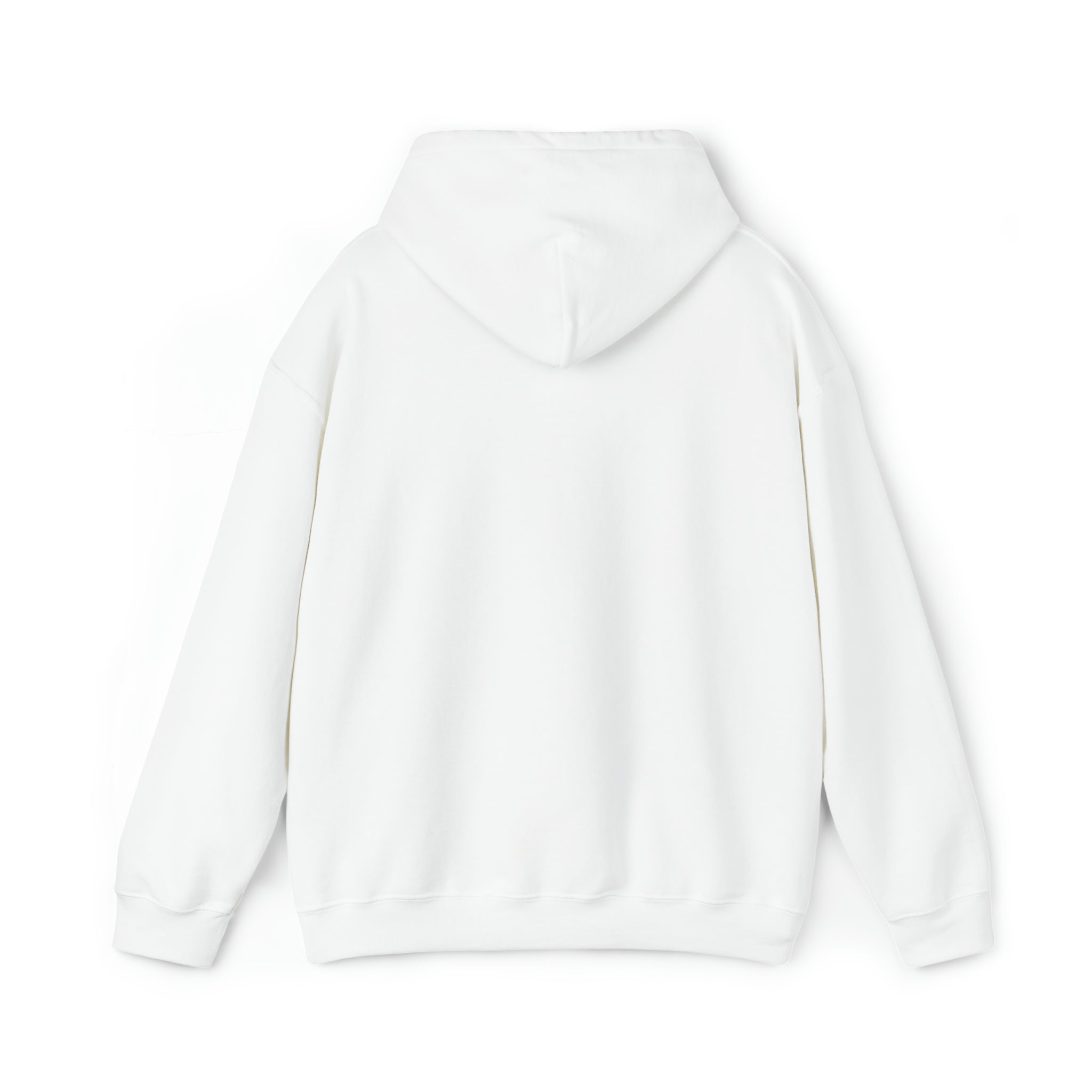 Montgomery Alabama Heavy Blend™ Hooded Sweatshirt